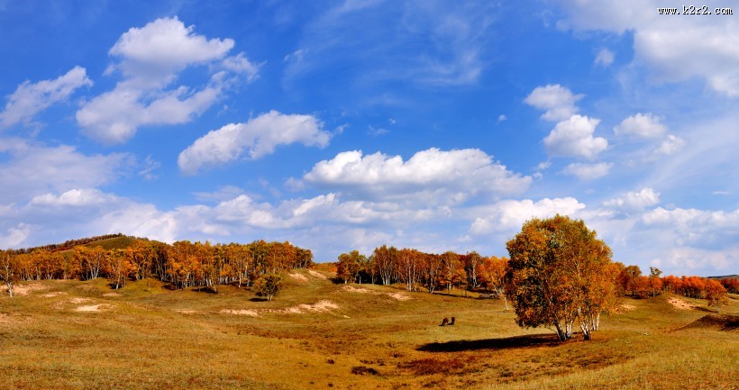 河北张家口坝上唯美秋景图片