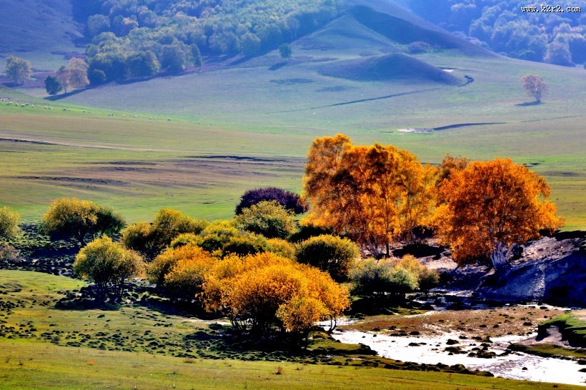 河北张家口坝上唯美秋景图片