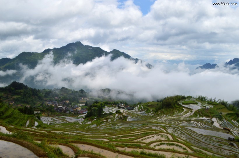 浙江丽水云和梯田自然风景图片