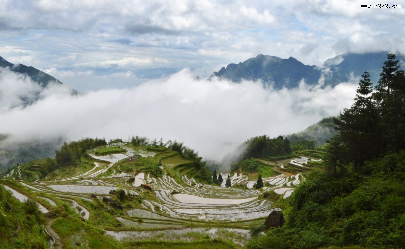 浙江丽水云和梯田自然风景图片