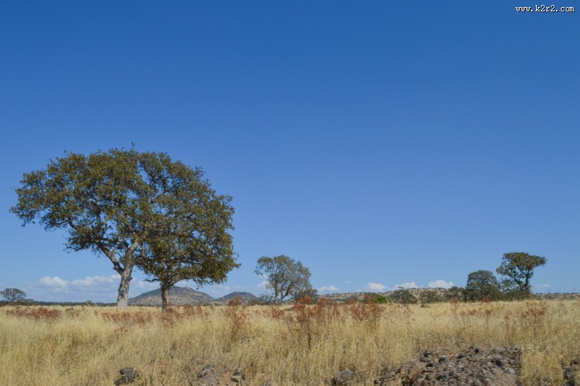 美国西部国家公园风景图片
