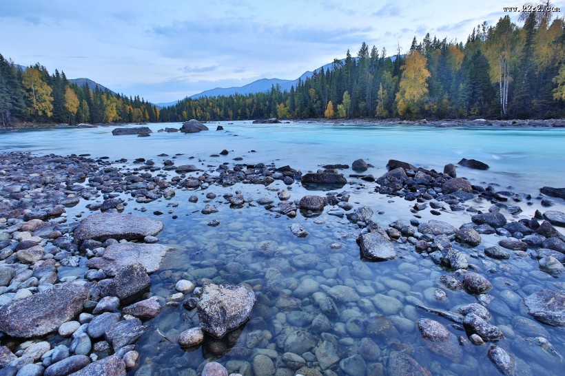 新疆喀纳斯自然风景图片