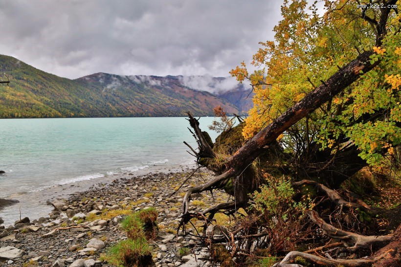 新疆喀纳斯自然风景图片