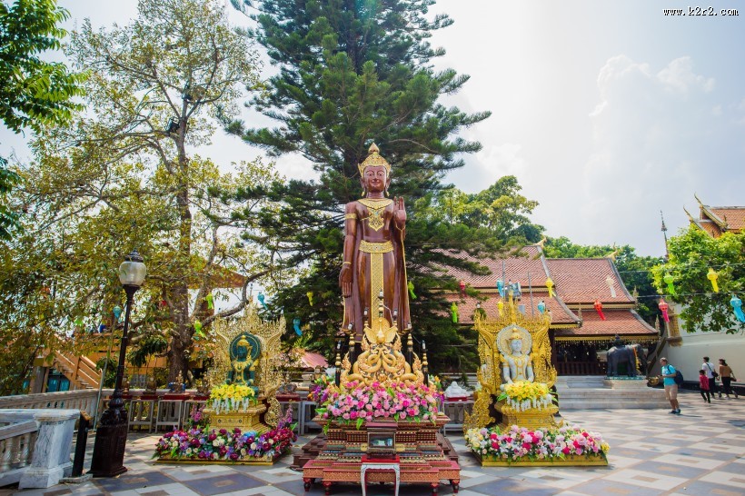 泰国动物园图片大全