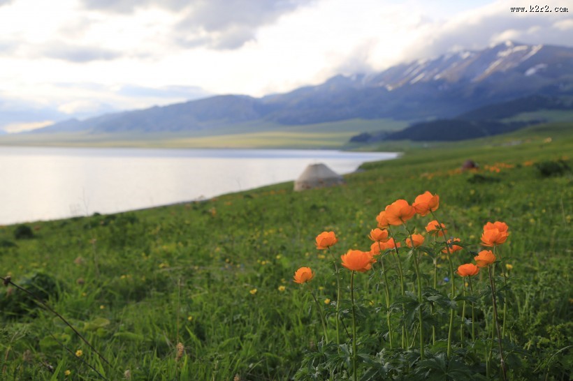 美丽的新疆赛里木湖风景图片