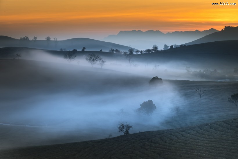 越南乡村田园风景图片大全