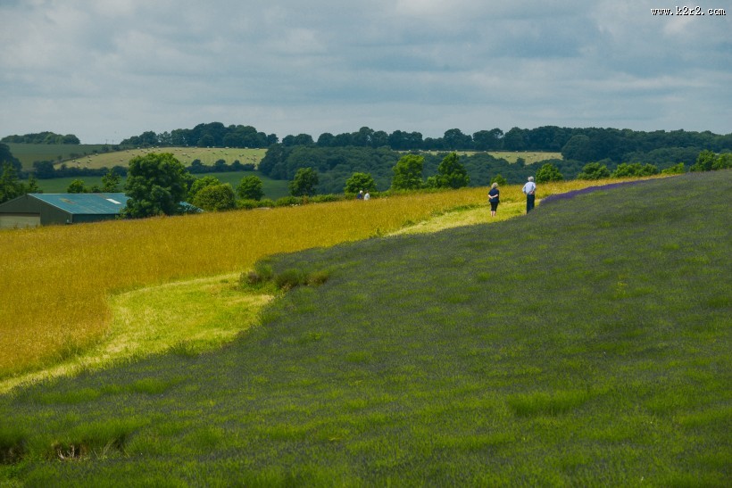 英国英格兰乡村风景图片