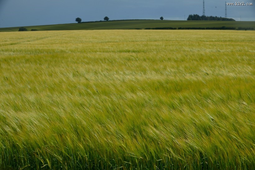 英国英格兰乡村风景图片