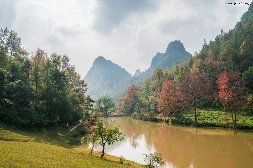 广西德保红枫森林公园风景图片