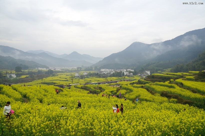 江西婺源油菜花风景图片