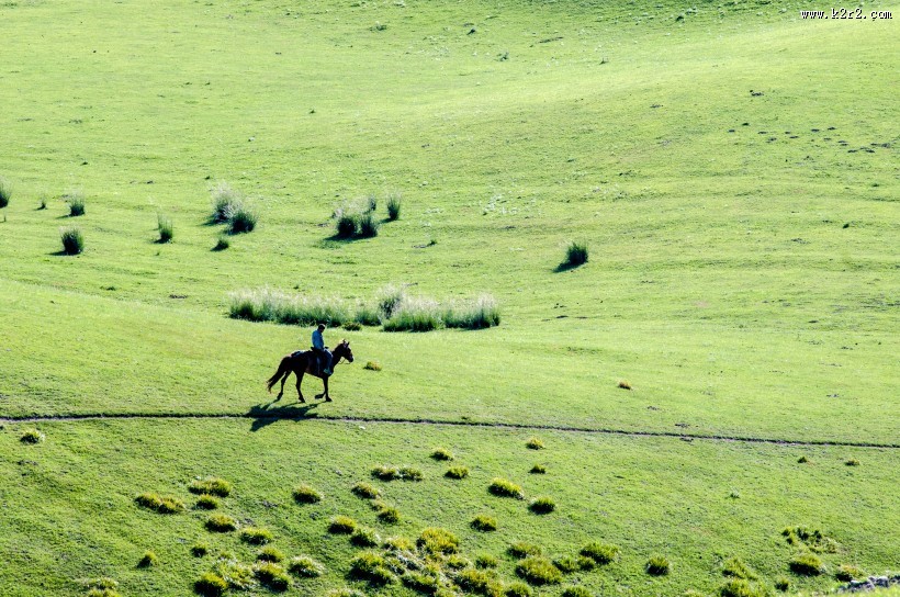 新疆天山牧场风景图片