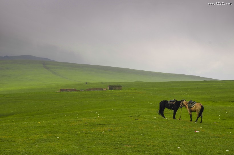 新疆巴音布鲁克风景图片大全