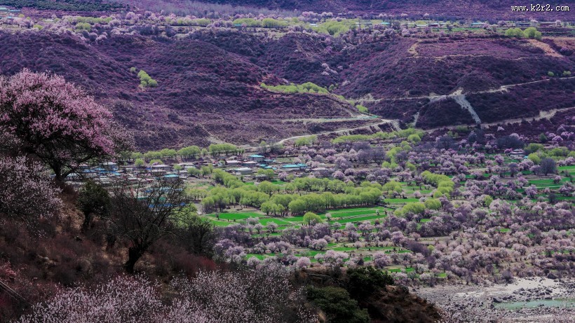 西藏林芝桃花沟风景图片大全