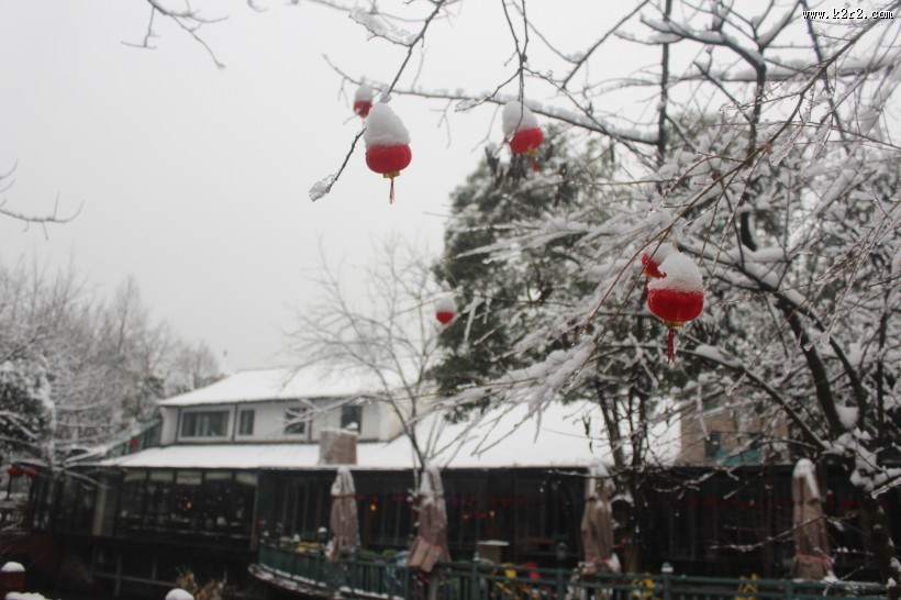 浙江杭州西溪湿地冬季风景图片大全