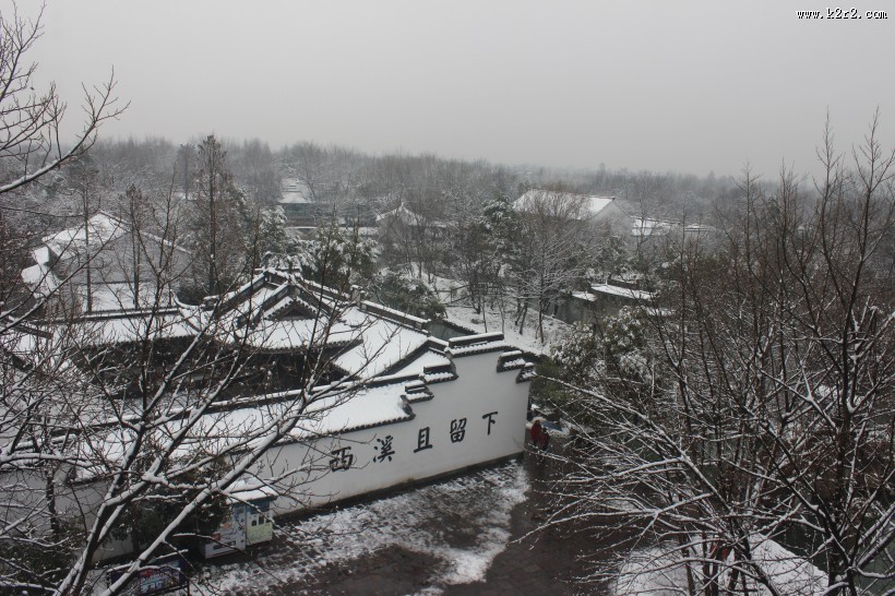 浙江杭州西溪湿地冬季风景图片大全