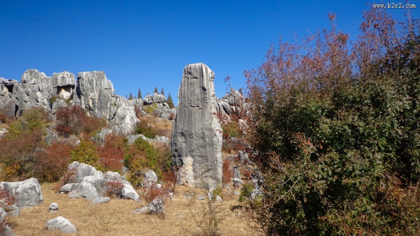 云南石林风景图片