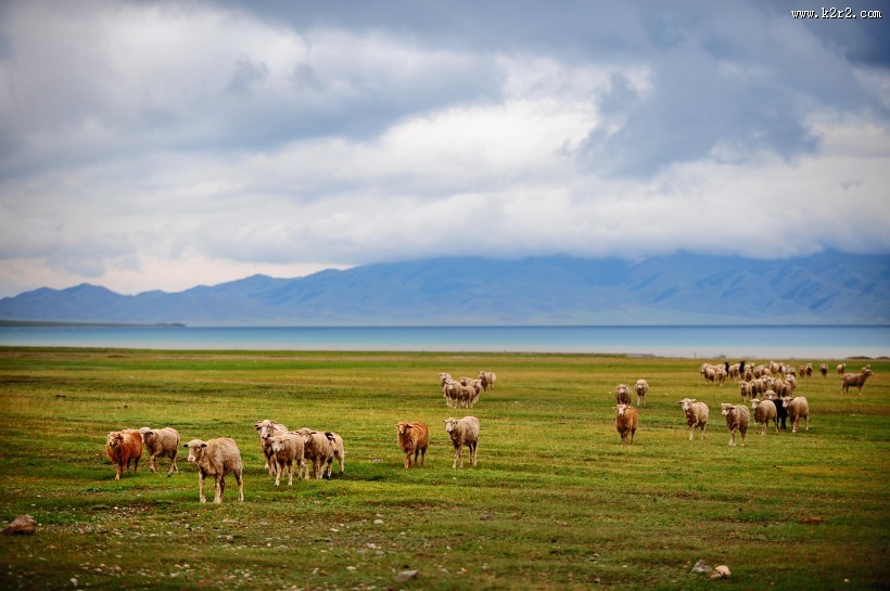 新疆赛里木湖风景图片大全