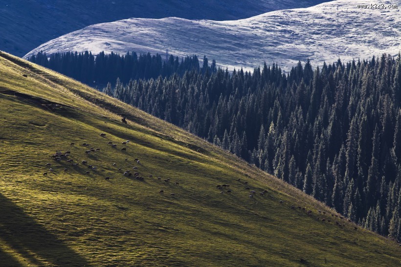 新疆伊利琼库什台风景图片大全