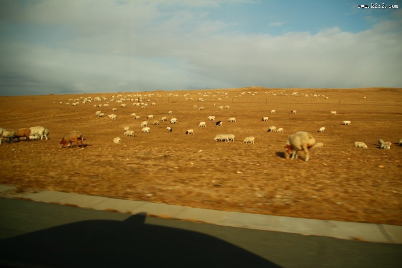 内蒙古呼伦贝尔大草原秋色风景图片