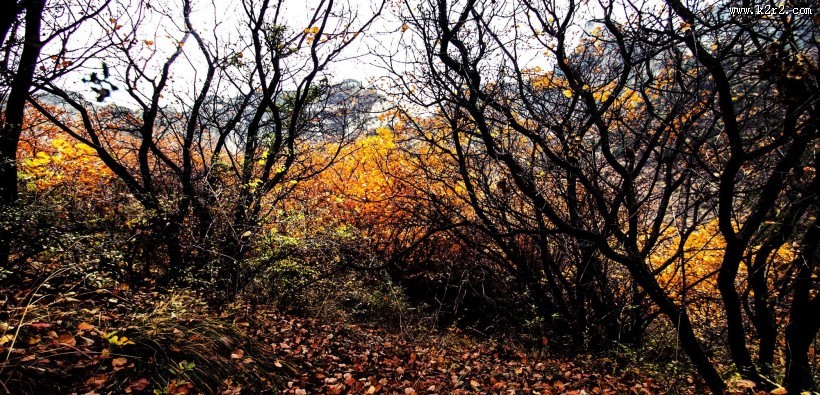 山西太行山风景图片大全