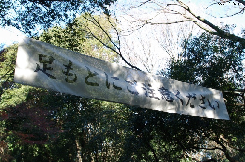 日本明治神宫的图片