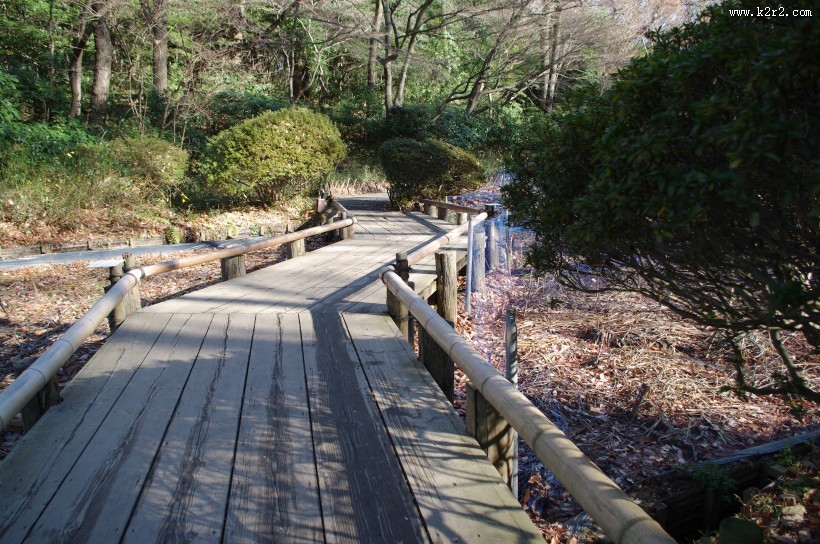 日本明治神宫的图片