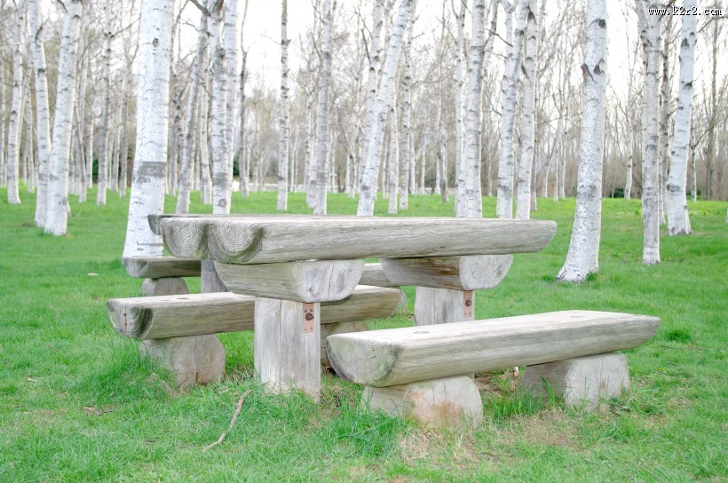 日本前田森林公园的图片大全