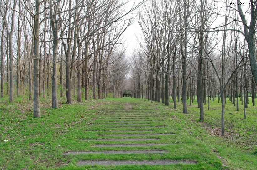 日本前田森林公园的图片