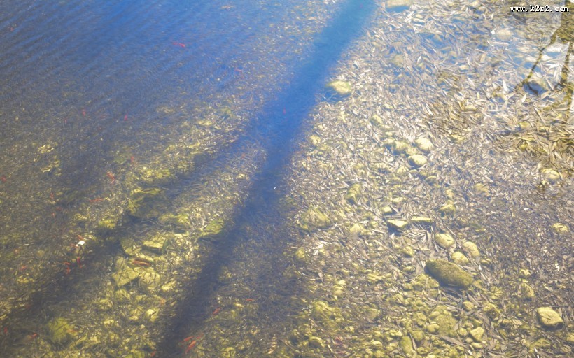 北京密云黑龙潭风景图片大全