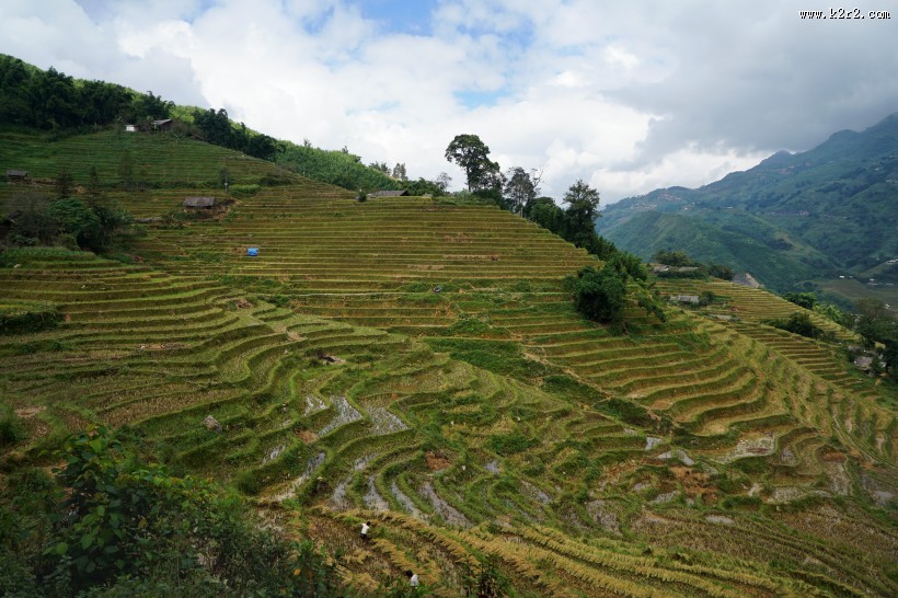 越南山地梯田风景图片