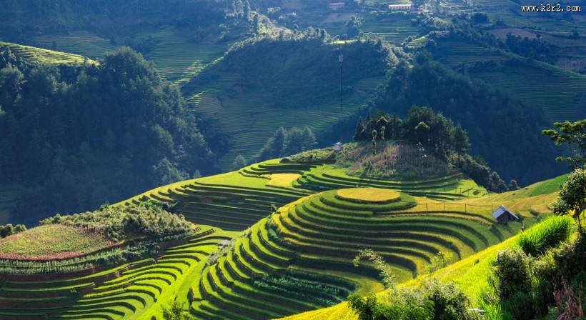 越南山地梯田风景图片