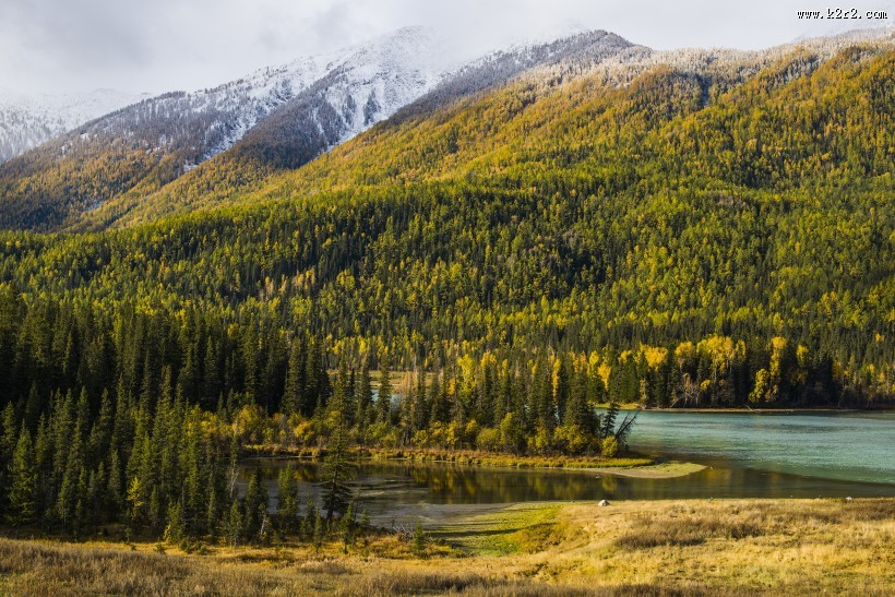新疆喀纳斯秋天风景图片