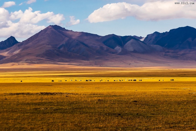 新疆巴音布鲁克风景图片