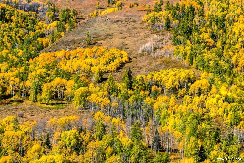新疆禾木风景图片