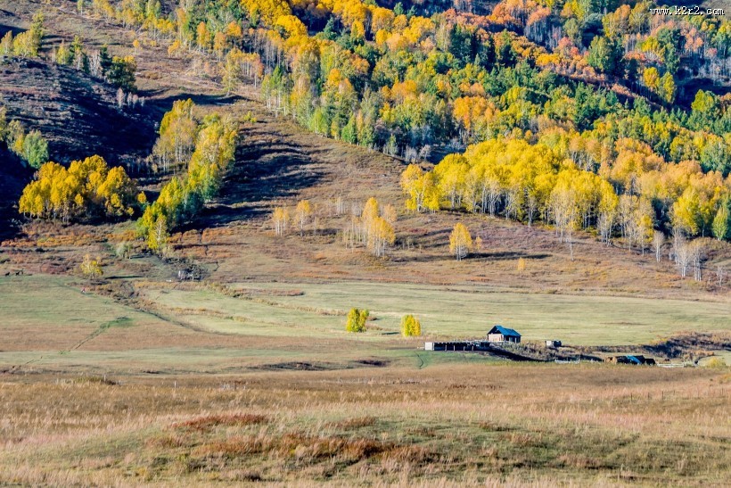 新疆禾木秋色风景图片