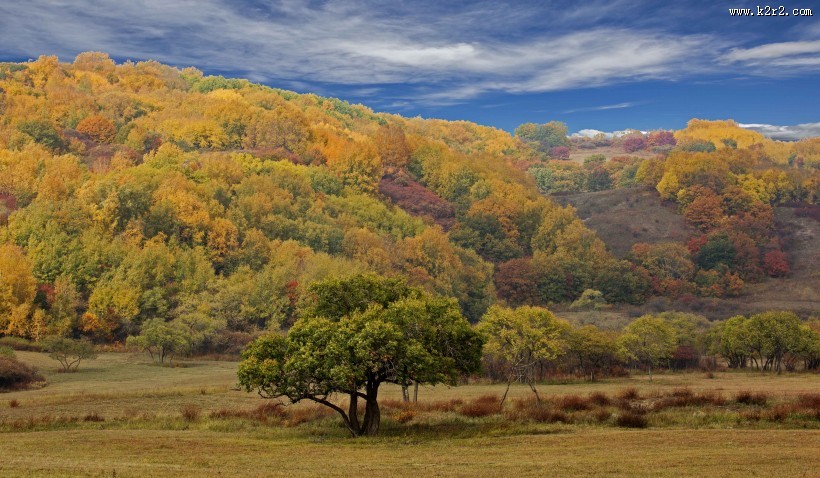 内蒙古乌兰布统风景图片大全
