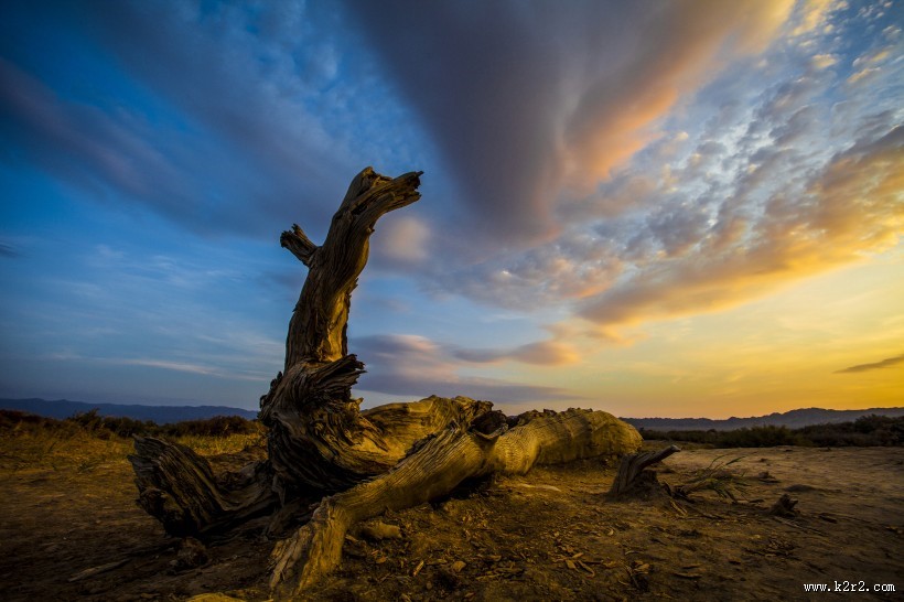 新疆木垒胡杨林风景图片