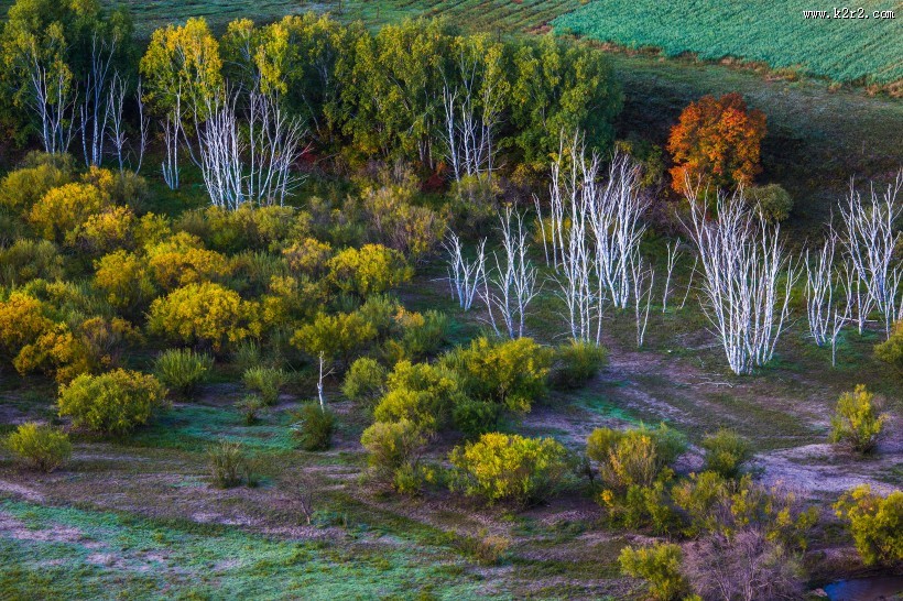 初秋坝上风景图片