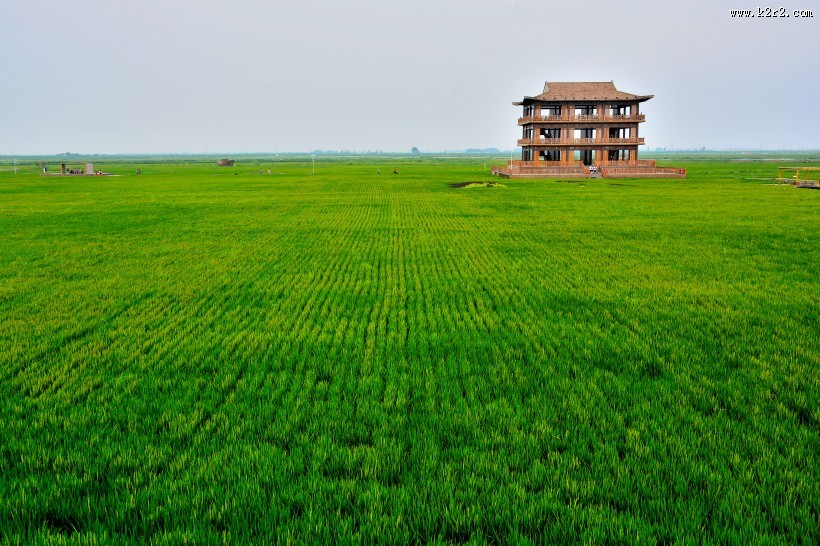 辽宁盘锦红海滩风景图片
