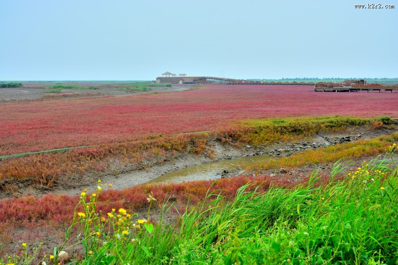辽宁盘锦红海滩风景图片