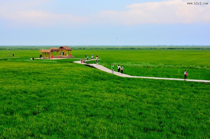 辽宁盘锦红海滩风景图片