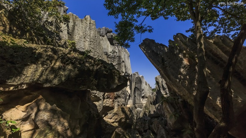 云南昆明石林风景图片