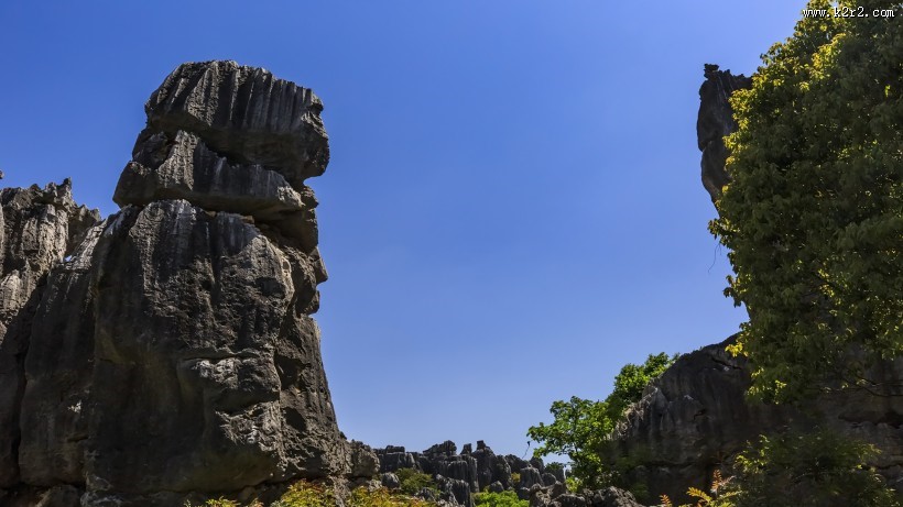 云南昆明石林风景图片