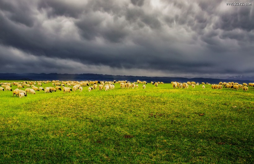 新疆巴音布鲁克草原风景图片