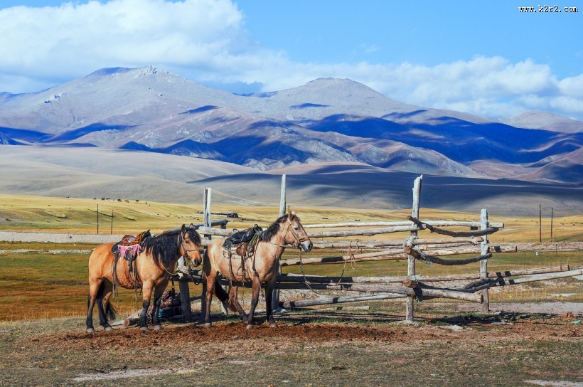 新疆特克斯草原秀丽风景图片