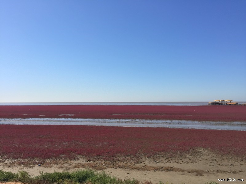 辽宁，盘锦红海滩风景图片
