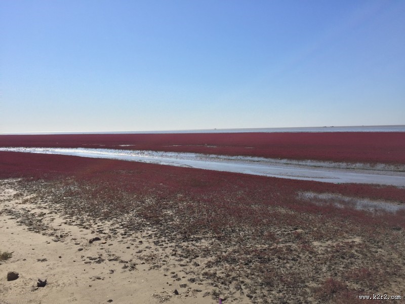 辽宁，盘锦红海滩风景图片