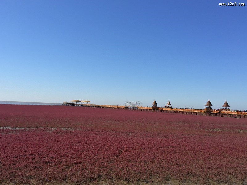 辽宁，盘锦红海滩风景图片