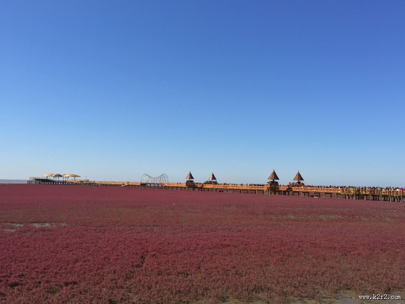 辽宁，盘锦红海滩风景图片