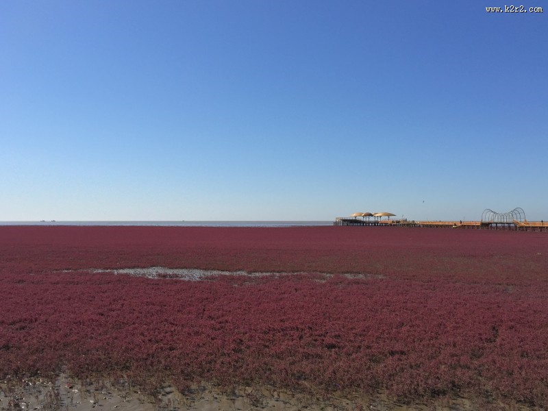 辽宁，盘锦红海滩风景图片